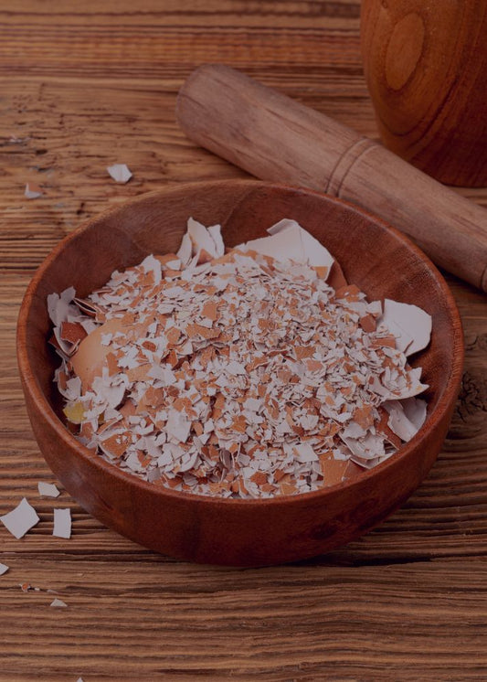 Unveiling the Witchy Uses of Eggshells: From Protection to Prosperity