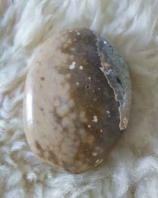 Ocean Jasper Palm Stone Harmony