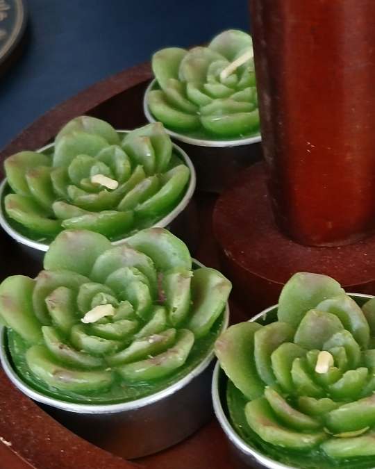 Succulent Tea Lights