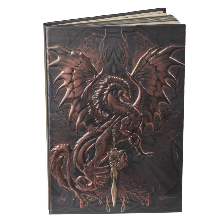 Dragon Journal/Sketchbook