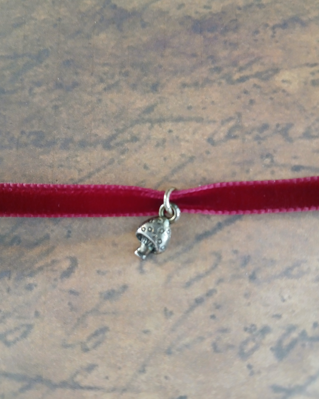 Simple Velvet Charm Choker