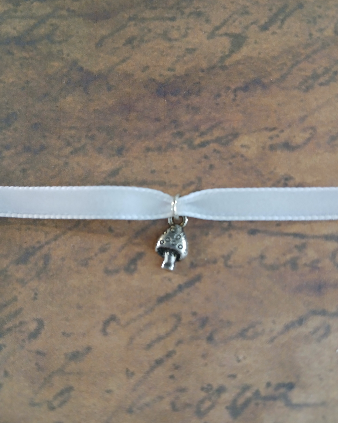 Simple Velvet Charm Choker